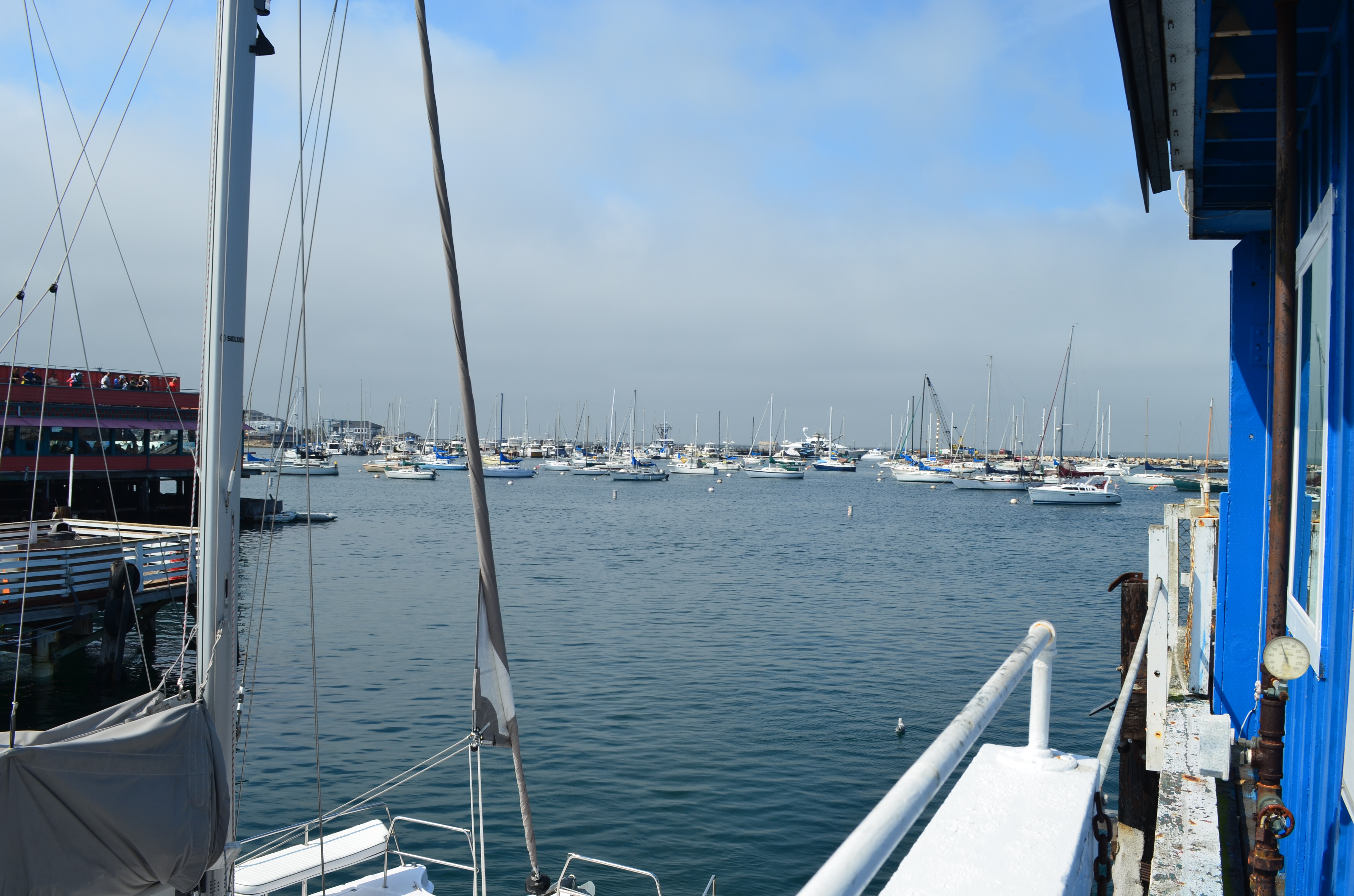 ./2018/09 - San Francisco/ASC_0761.JPG